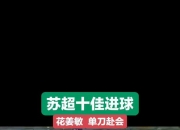 爱游戏课程-包含苏格兰前锋在荷乙联赛创造进球神奇的词条